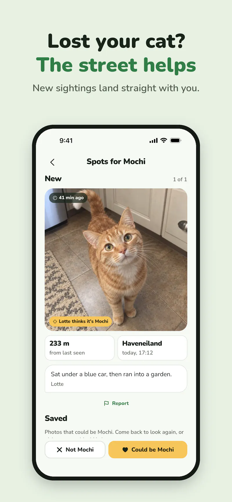 SpotKat screenshot 3