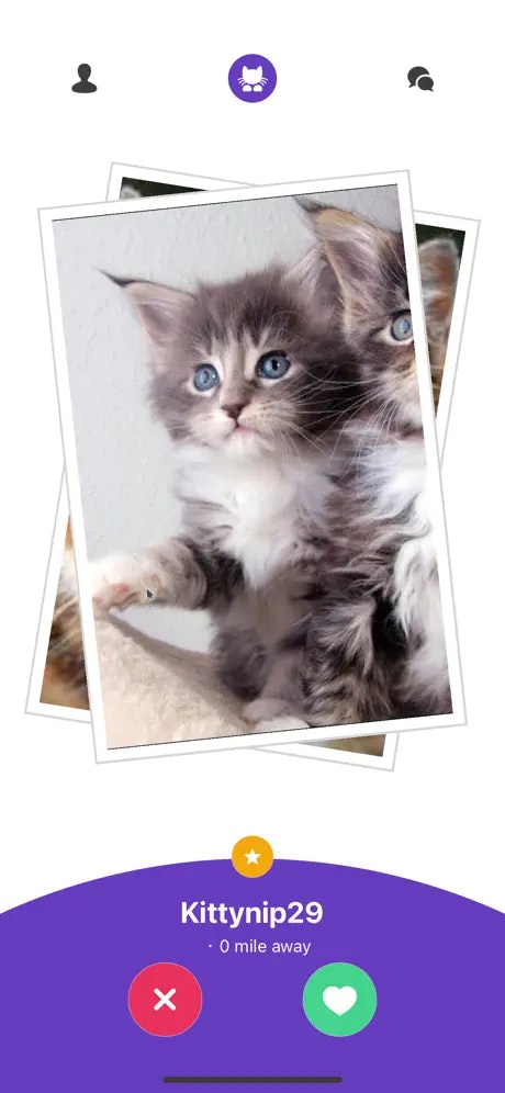 Kitty Nip - Cat Dating App for iOS