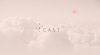CAST.AI gallery image