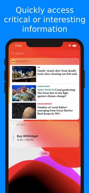 WOWidget gallery image