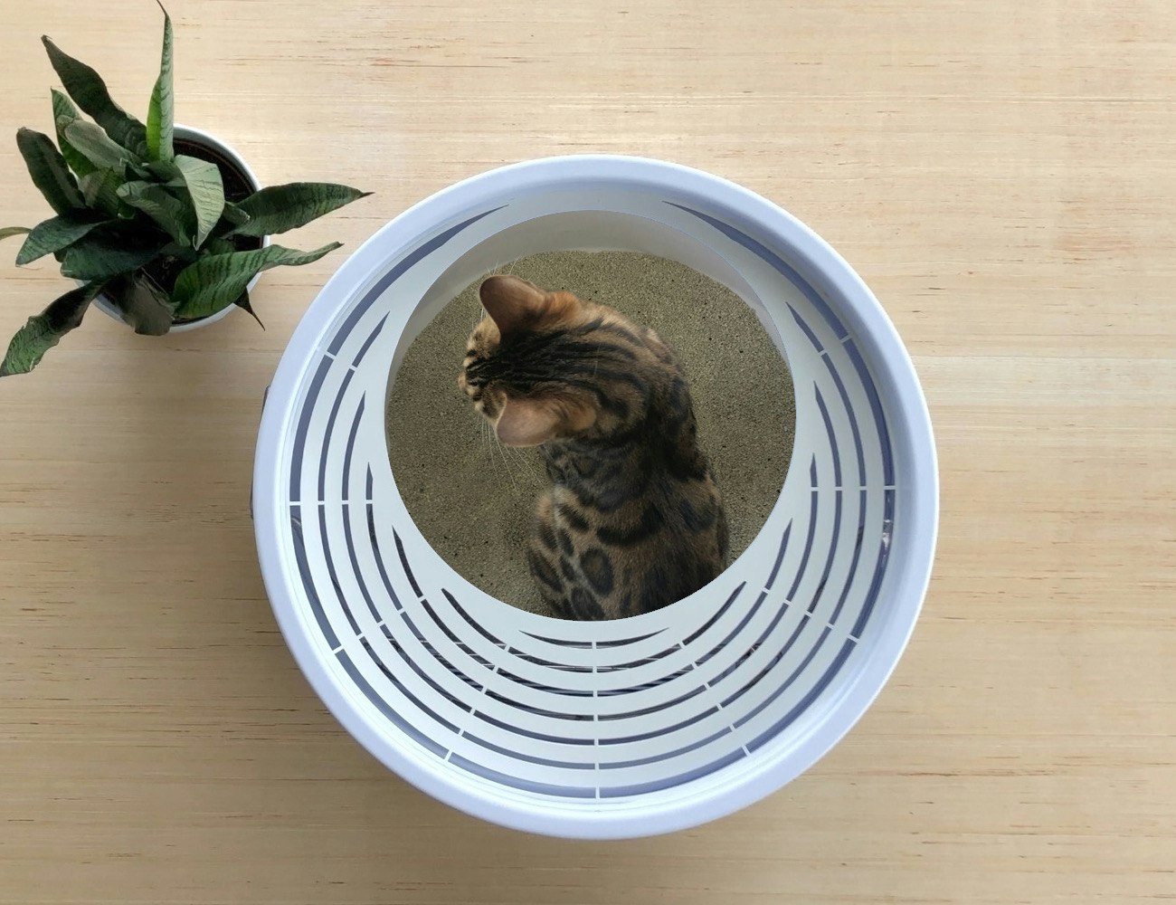 Boxscoop 2.0 gallery image