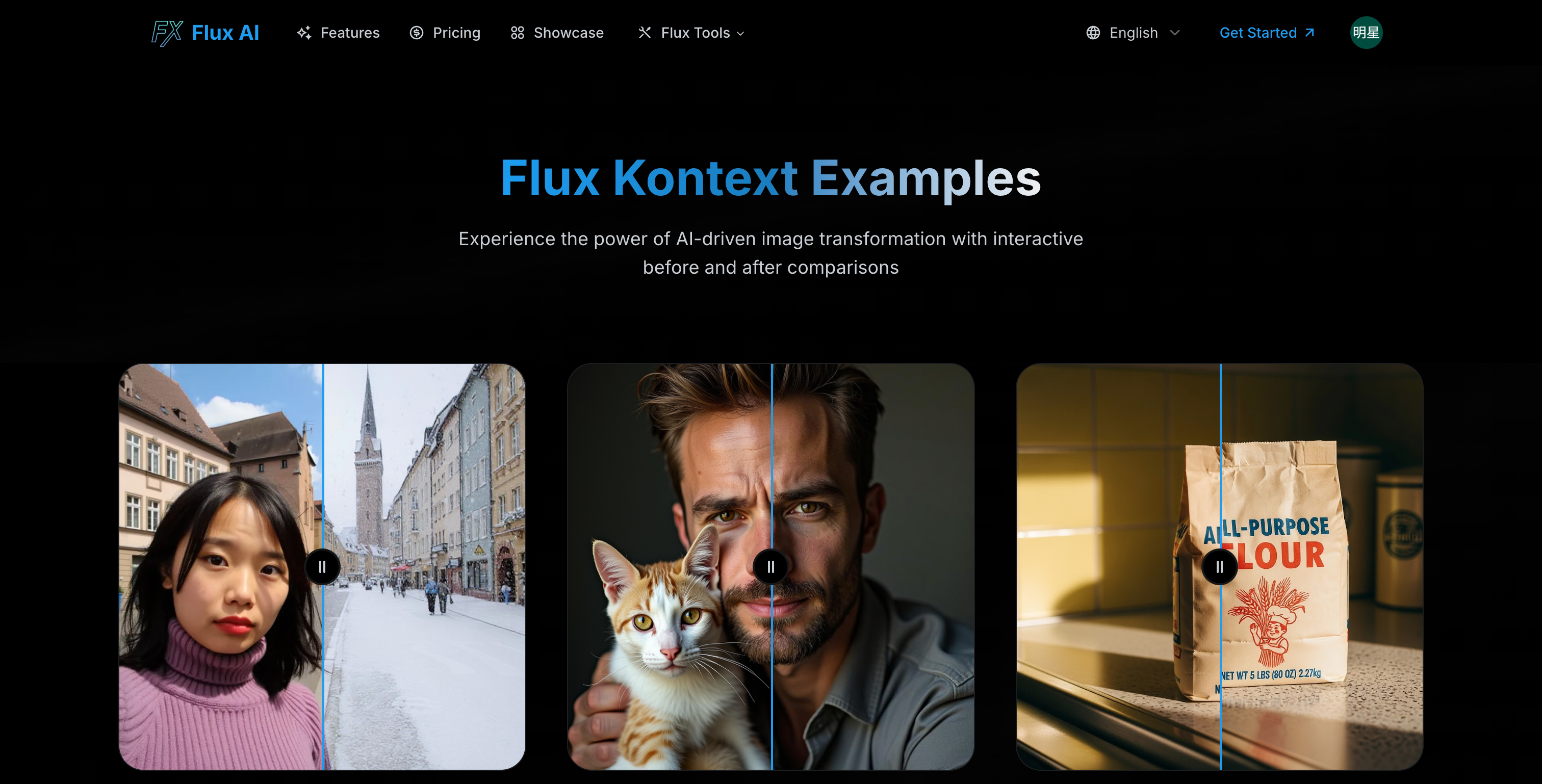 Flux AI gallery image