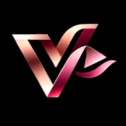 VidKiss logo