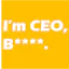 Fortune 500 CEO's