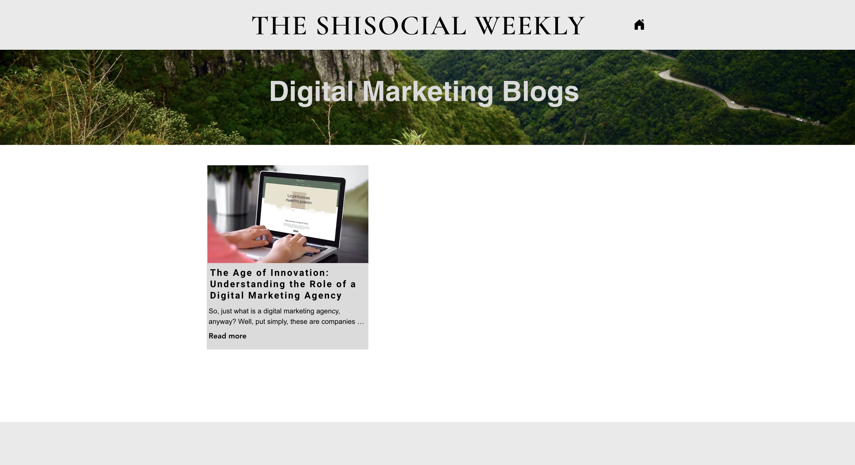 Agencia de marketing shisocial media 3