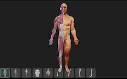 3D Anatomy Viewer 4 Artists media 2