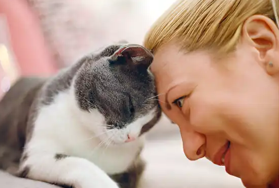 Catsounds 앱