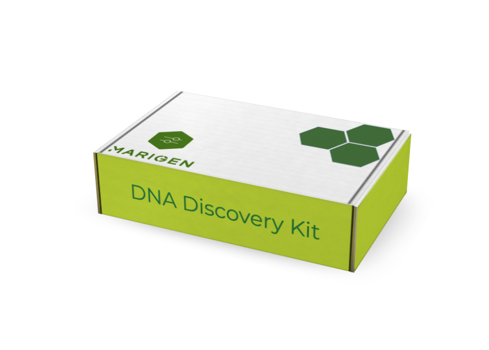 MariGen gallery image