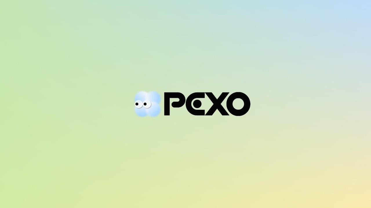 Pexo gallery image