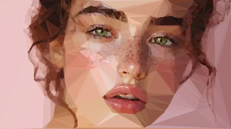 Facet screenshot 5