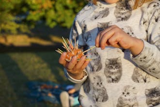 Mila Lila Craft Cards gallery image