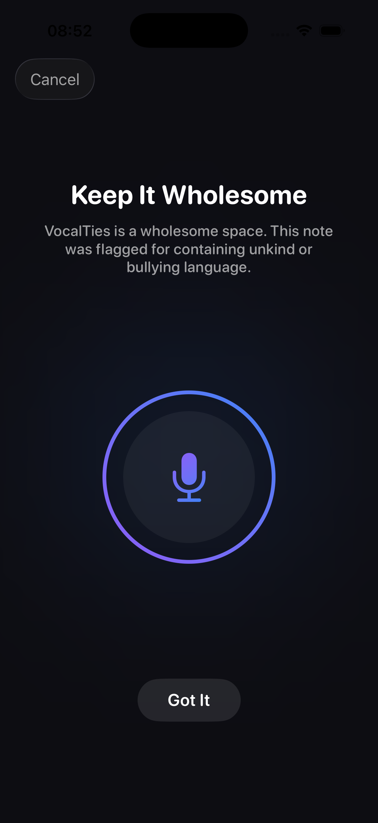 VocalTies gallery image